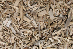 biomass boilers Carronshore